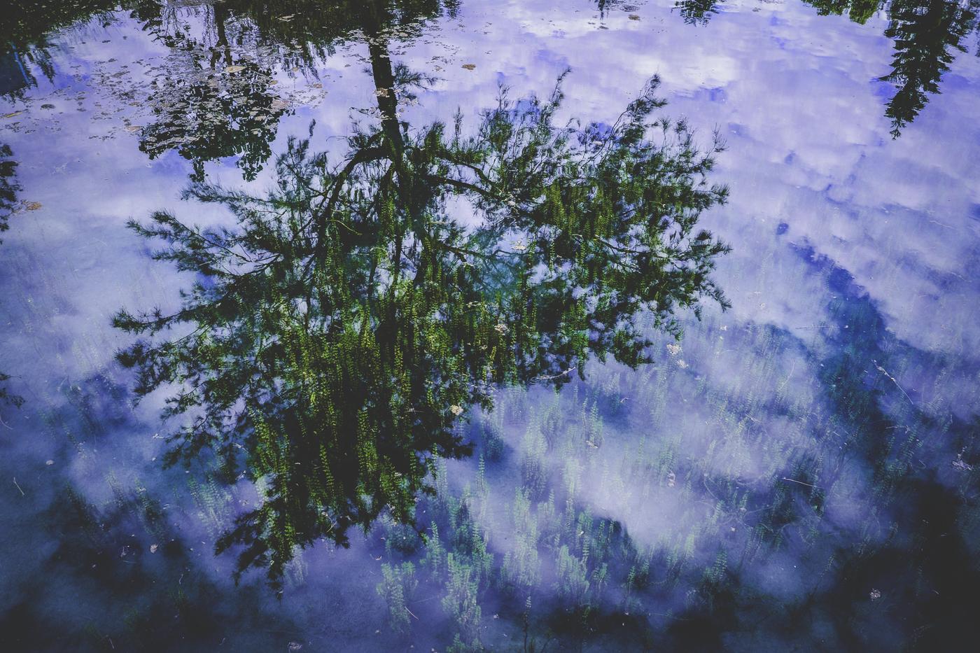 Distinctio et accusamus voluptatem accusantium illo