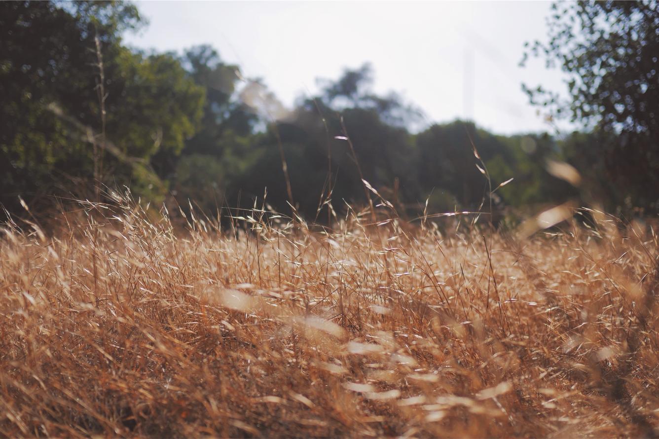 Dolor qui autem recusandae velit